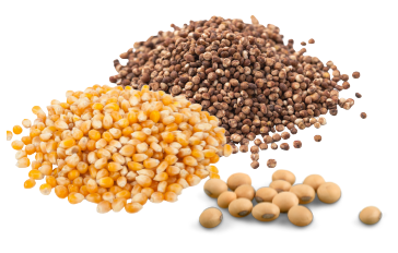 Semillas y equipo de aplicación